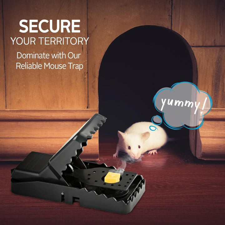 Mouse Catching Clip