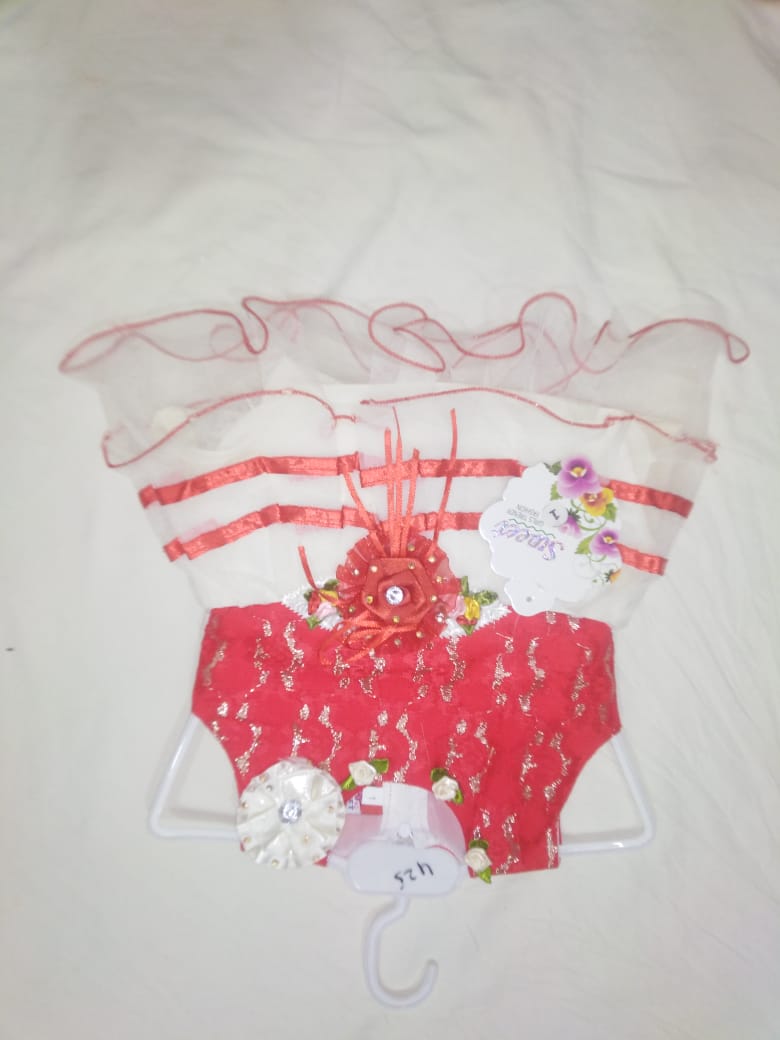 Net Frock Red